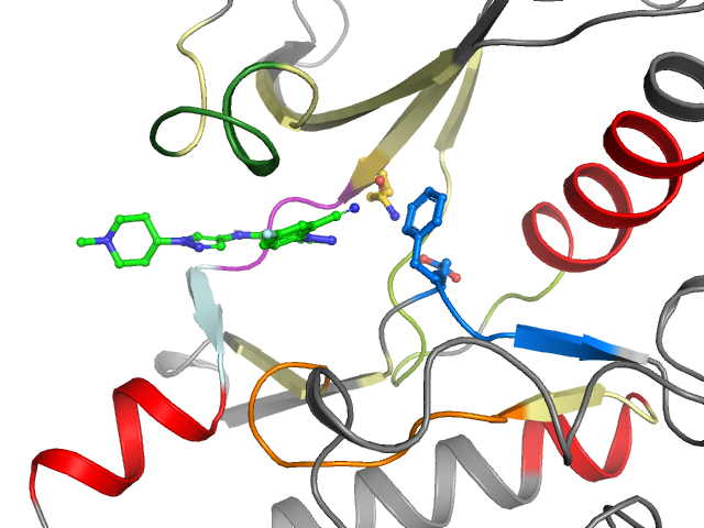 The orthosteric binding pocket