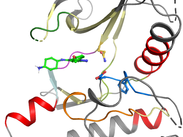 The orthosteric binding pocket