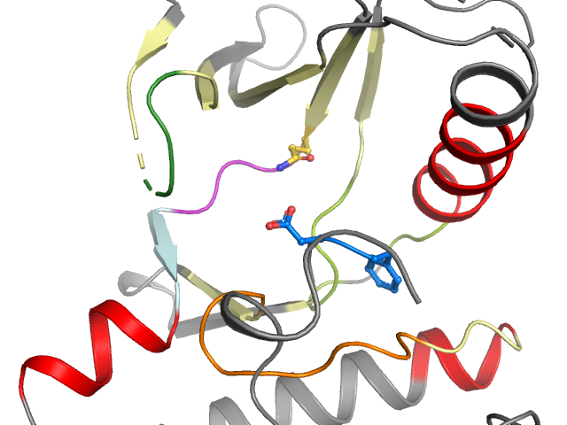 The orthosteric binding pocket
