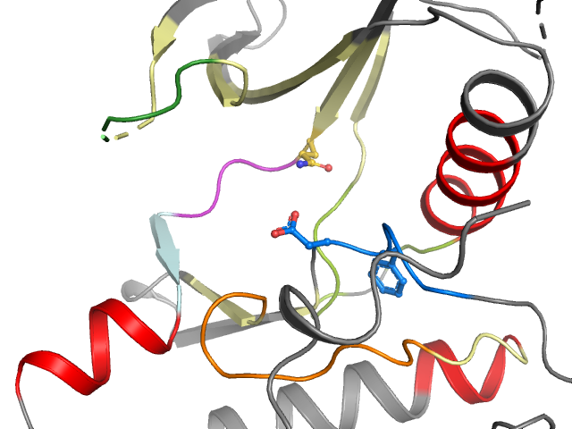 The orthosteric binding pocket