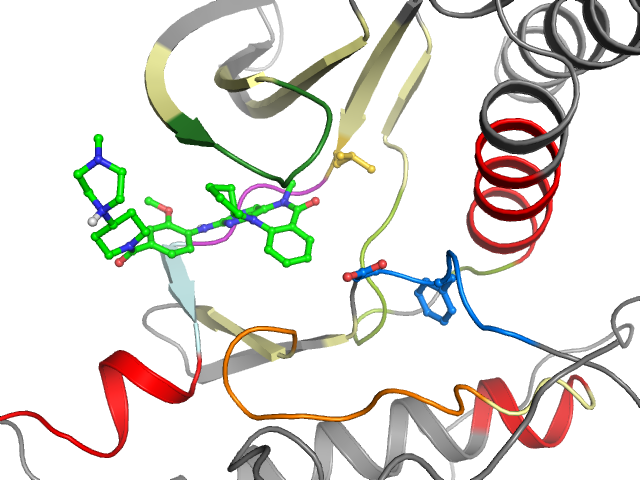 The orthosteric binding pocket