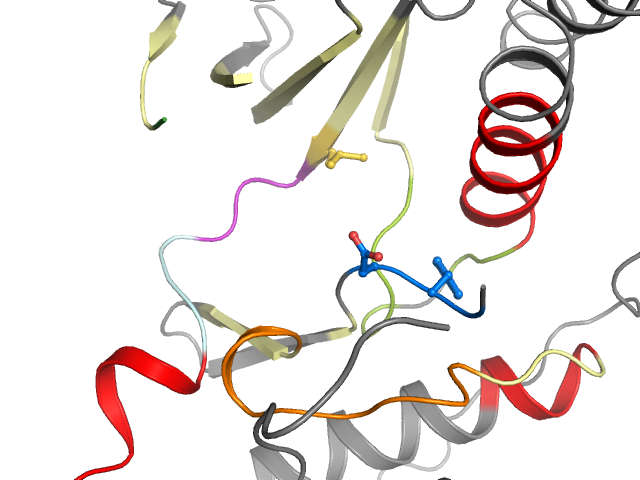 The orthosteric binding pocket
