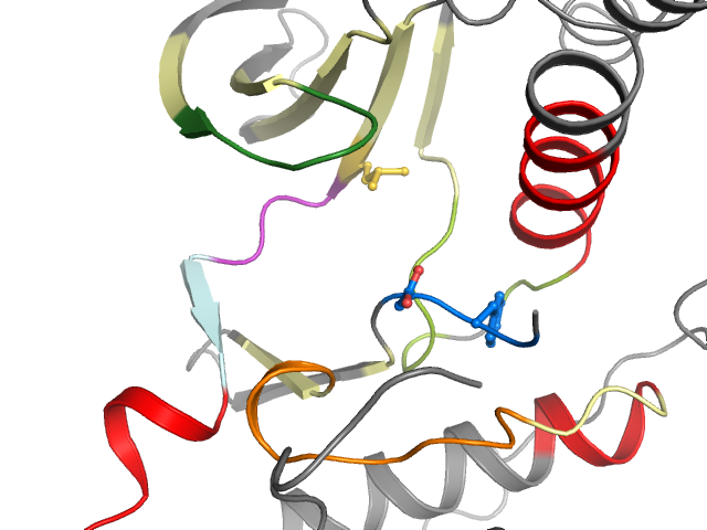 The orthosteric binding pocket