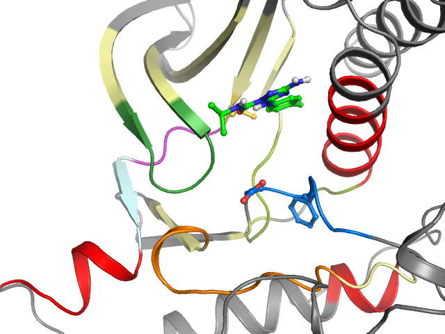 The orthosteric binding pocket