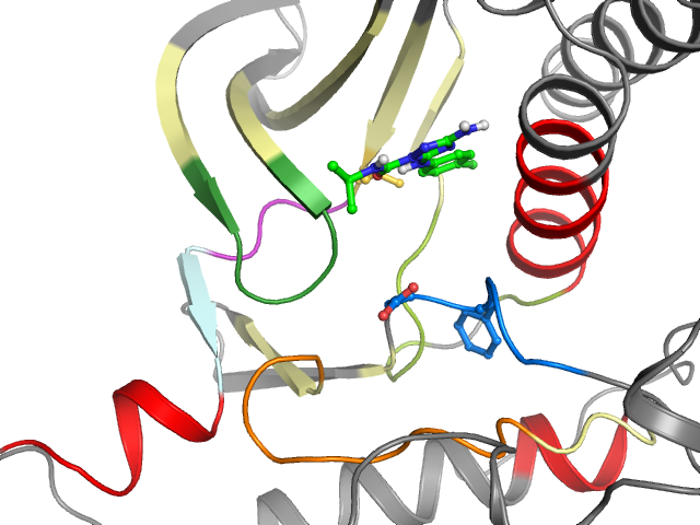 The orthosteric binding pocket