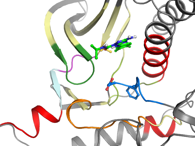 The orthosteric binding pocket