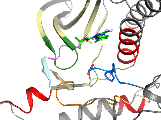 The orthosteric binding pocket