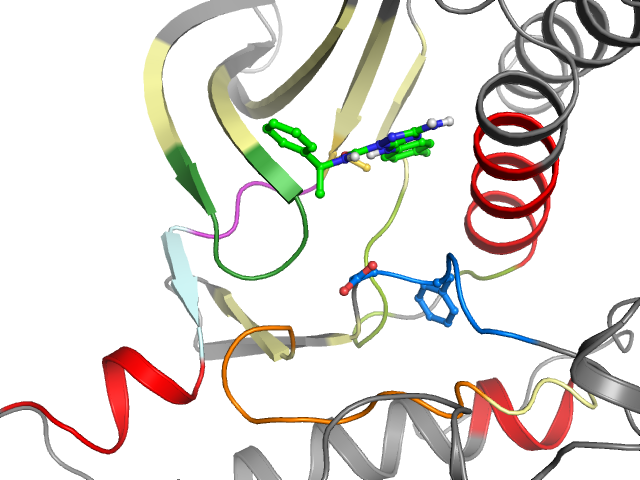 The orthosteric binding pocket