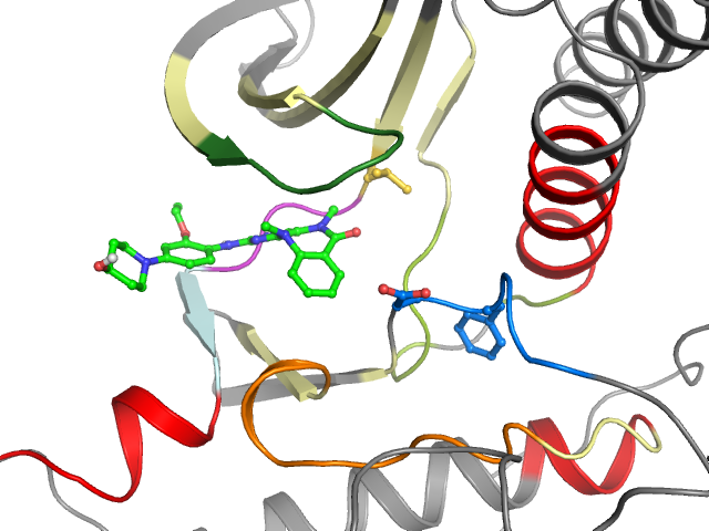 The orthosteric binding pocket