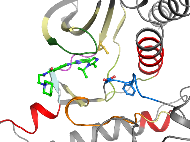 The orthosteric binding pocket