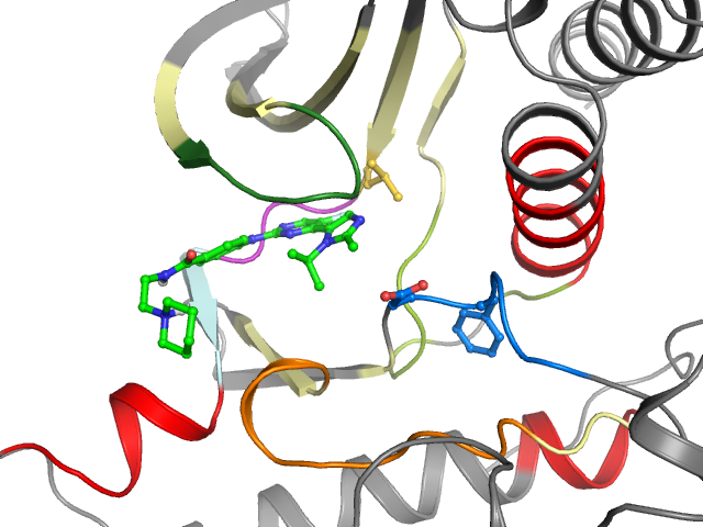 The orthosteric binding pocket