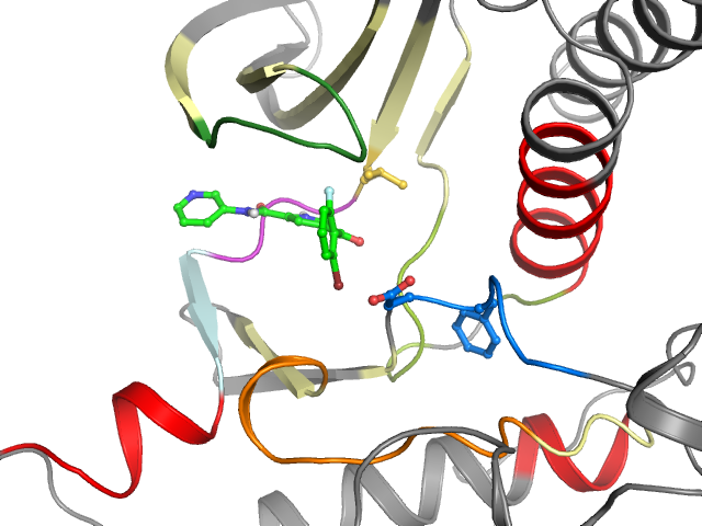 The orthosteric binding pocket