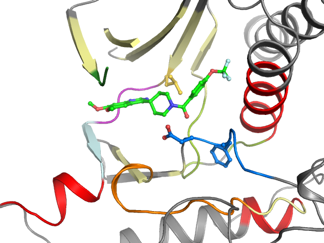 The orthosteric binding pocket