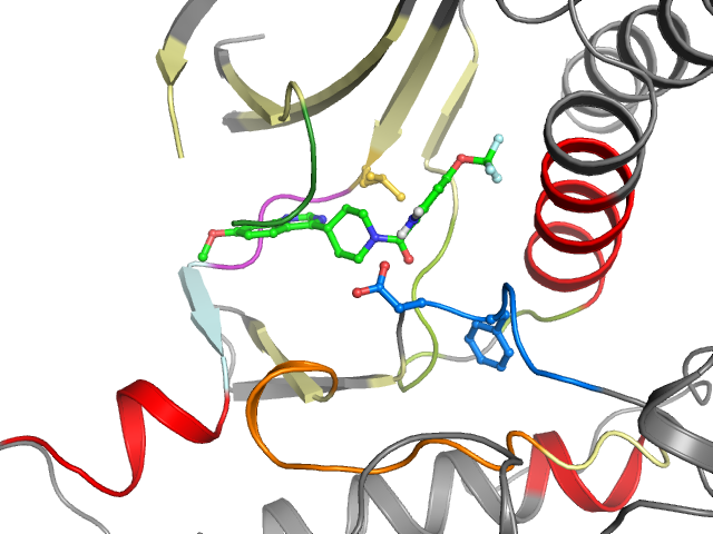 The orthosteric binding pocket