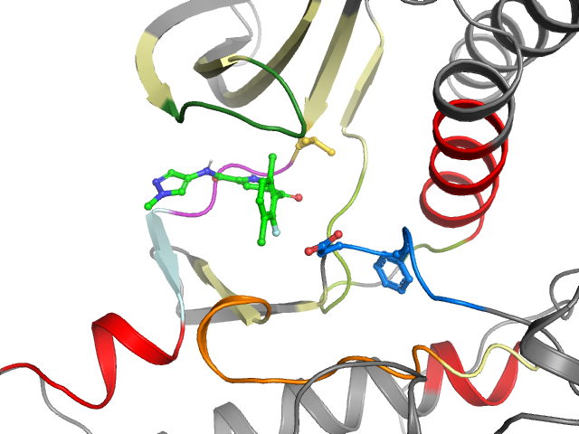 The orthosteric binding pocket