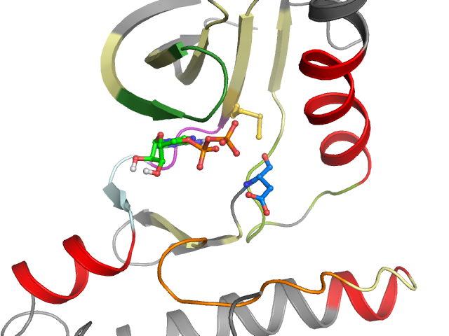 The orthosteric binding pocket