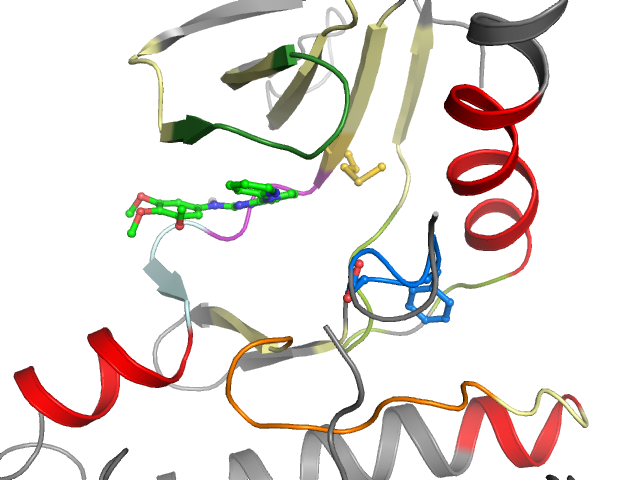 The orthosteric binding pocket