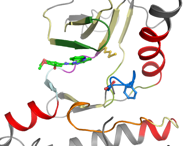 The orthosteric binding pocket