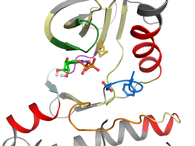 The orthosteric binding pocket
