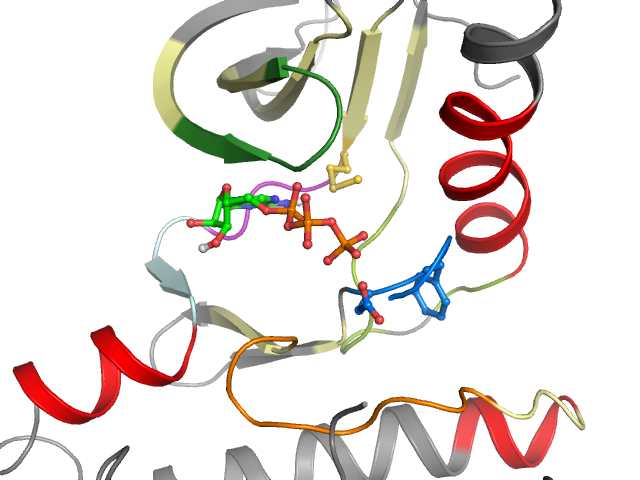 The orthosteric binding pocket