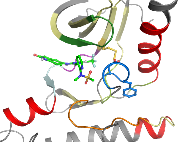 The orthosteric binding pocket