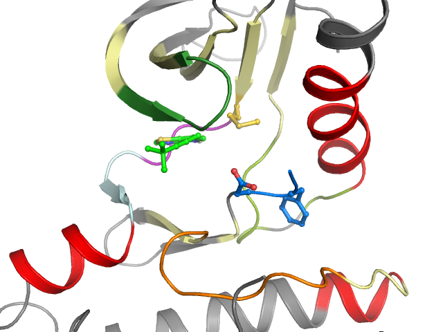 The orthosteric binding pocket