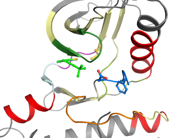 The orthosteric binding pocket