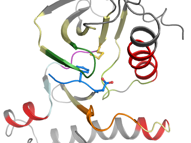 The orthosteric binding pocket