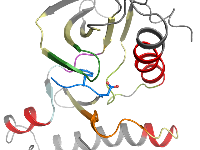 The orthosteric binding pocket