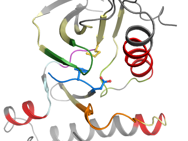 The orthosteric binding pocket
