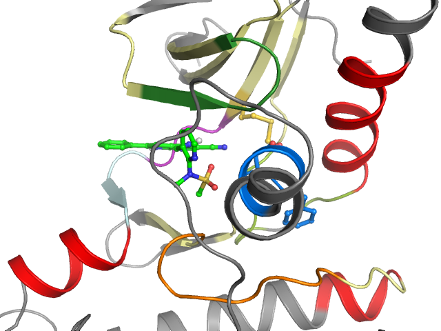 The orthosteric binding pocket