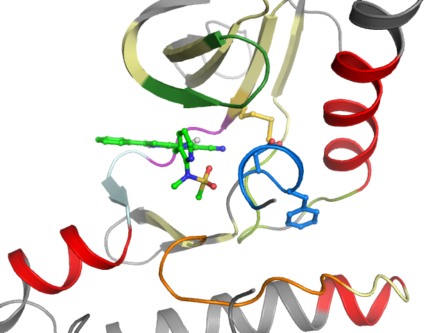 The orthosteric binding pocket