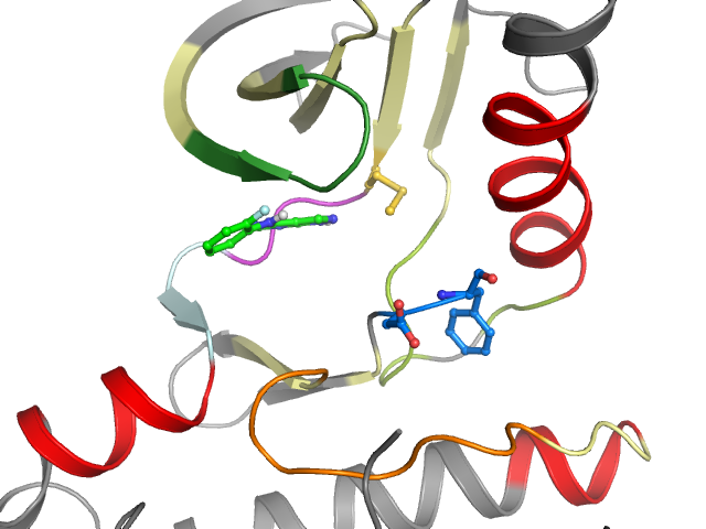 The orthosteric binding pocket