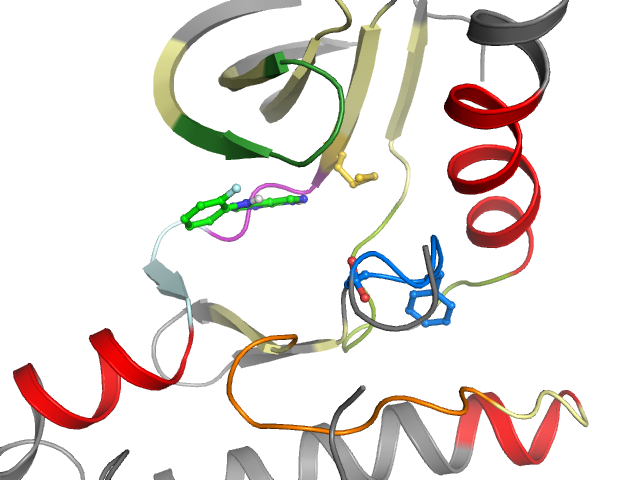 The orthosteric binding pocket