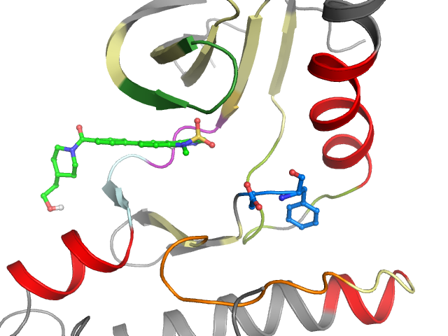The orthosteric binding pocket