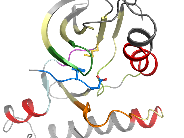 The orthosteric binding pocket