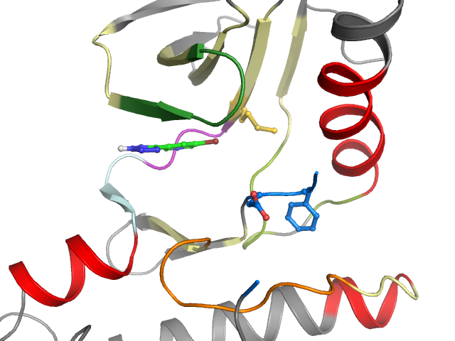 The orthosteric binding pocket
