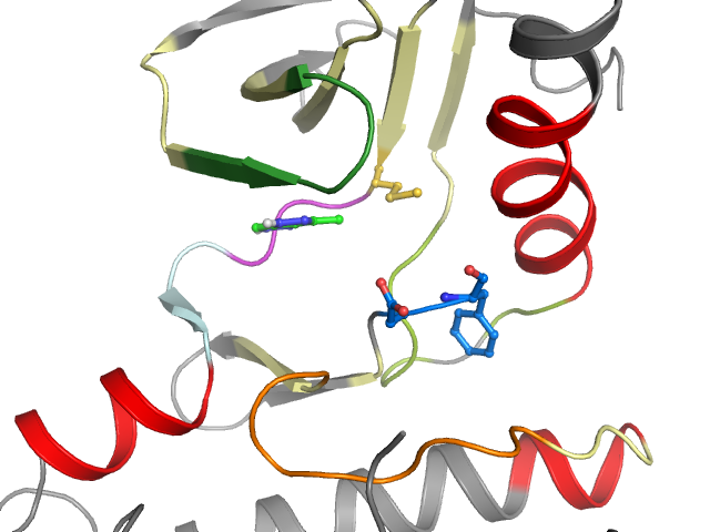 The orthosteric binding pocket