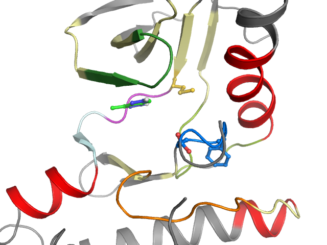 The orthosteric binding pocket