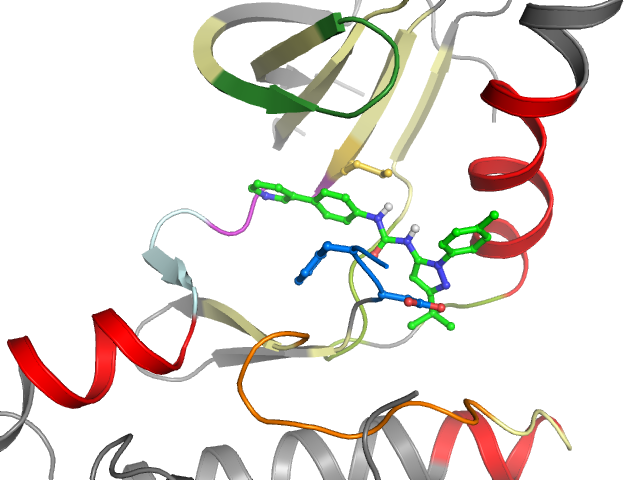 The orthosteric binding pocket