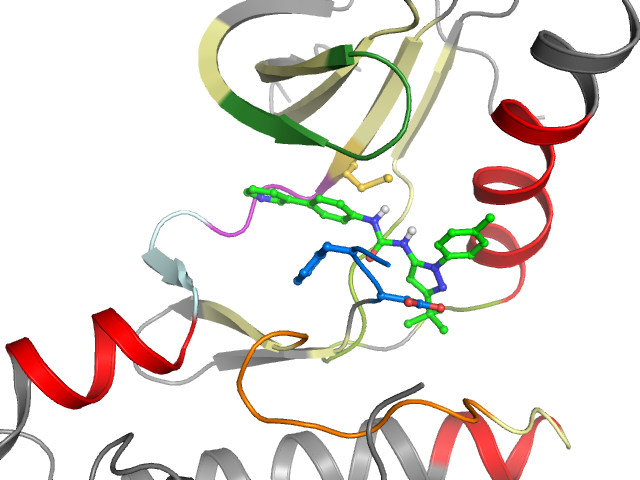The orthosteric binding pocket