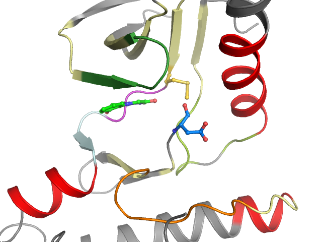The orthosteric binding pocket