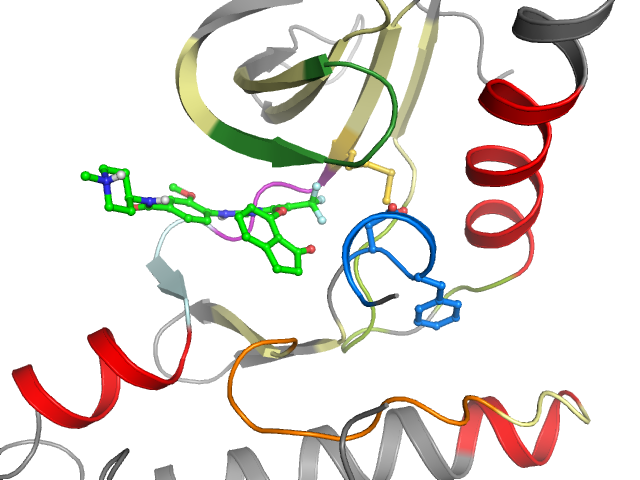The orthosteric binding pocket