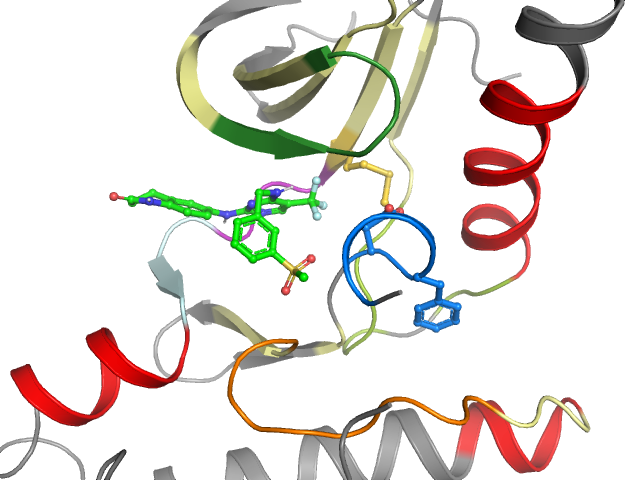The orthosteric binding pocket