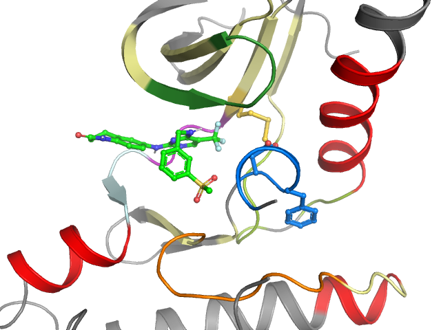 The orthosteric binding pocket