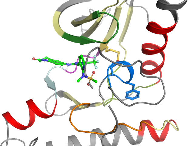 The orthosteric binding pocket