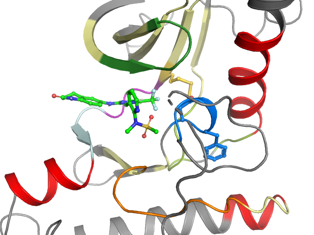 The orthosteric binding pocket