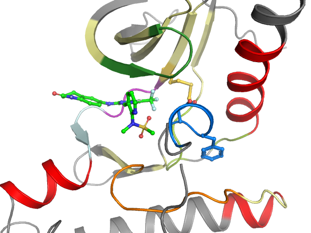 The orthosteric binding pocket