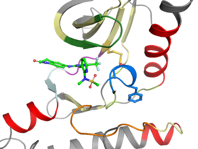 The orthosteric binding pocket