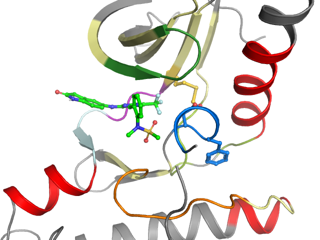 The orthosteric binding pocket
